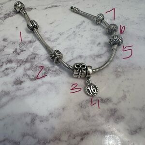 Pandora Charms - Private Listing for 7 charms